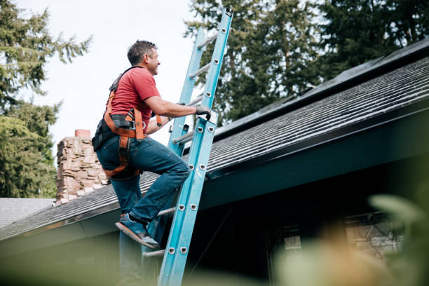 Roof Insulation Installation in Sheffield, OH